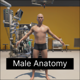 HumanAnatomy