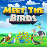 MeetTheBirdsgame